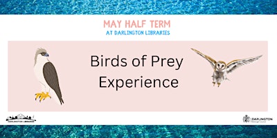 Darlington Libraries:  Birds of Prey Experience (10am Dton)  primärbild