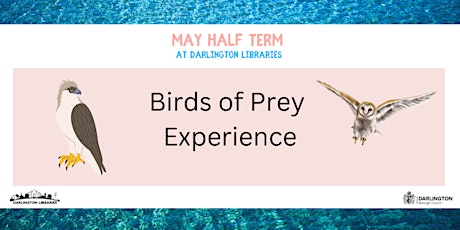 Darlington Libraries:  Birds of Prey Experience (10am Dton)