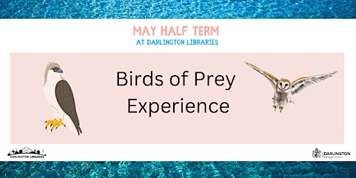 Hauptbild für Darlington Libraries:  Birds of Prey Experience (10am Dton)