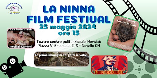 Imagem principal do evento La Ninna Film Festival