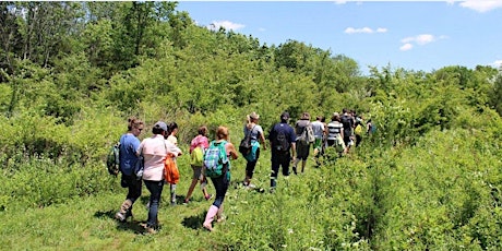 Watershed Institute Excursions and Nature Activities