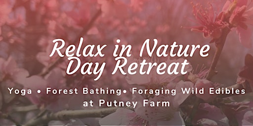 Relax in Nature Day Retreat at Putney Farm primary image