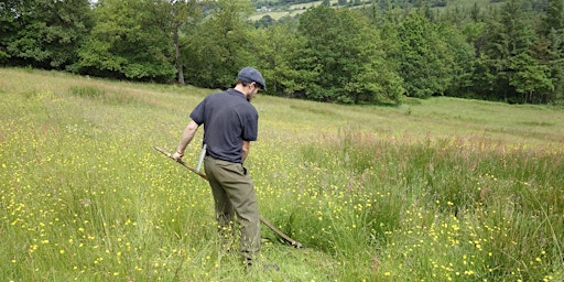 Learn to scythe: 3 day intermediate course primary image