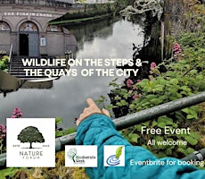 Imagem principal do evento Wildlife of the steps and the Quays of the City