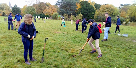 Pollinator Flower Bulb Planting at Hampstead Cemetery primary image
