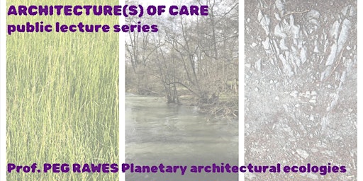 Image principale de Keynote Lecture by Prof Peg Rawes "PLANETARY ARCHITECTURAL ECOLOGIES"