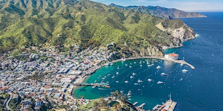 Virtual Conference On The Marine Ecology Of Santa Catalina Island