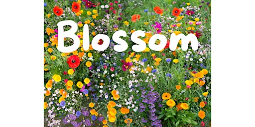 Blossoming Garden - Self Connection for Better Relationships and World