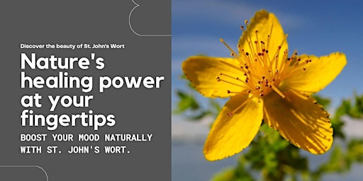 St. John's Wort: Powerful Mood Support primary image