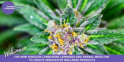 Hauptbild für Webinar | Combining Cannabis and Herbal Medicine in Wellness Products