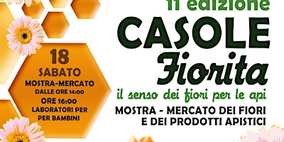 Hauptbild für Casole fiorita 2024