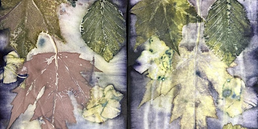 Botanical printing with Elisabeth Viguie-Culshaw  (ages 16-25) primary image