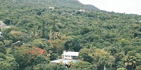 Livity Retreat  in Nevis, West Indies