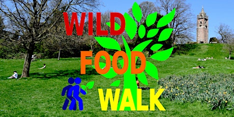 May Brandon Hill Park (Bristol) Wild Food Foraging/ Forager Walk.