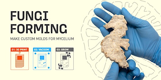 Imagem principal do evento Fungi Forming: Make Custom Molds for Mycelium