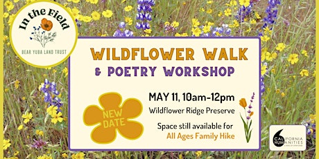 In the Field with Wildflowers & Poetry