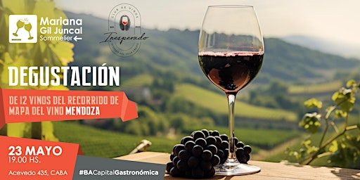 Hauptbild für Degustación de 12 vinos de Mendoza