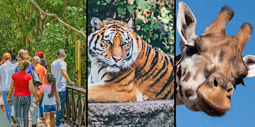 Immagine principale di Whimsical Expeditions Ambassadors take over the Metro Richmond Zoo! 