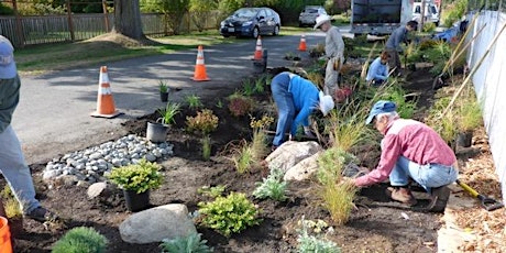 May Port Townsend Rain Garden Workparty!