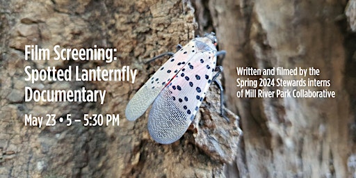 Spotted Lanternfly Documentary Screening