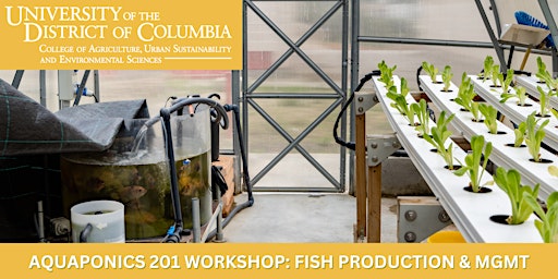 Introduction to Aquaponics 201 Workshop - Fish Production and Management primary image