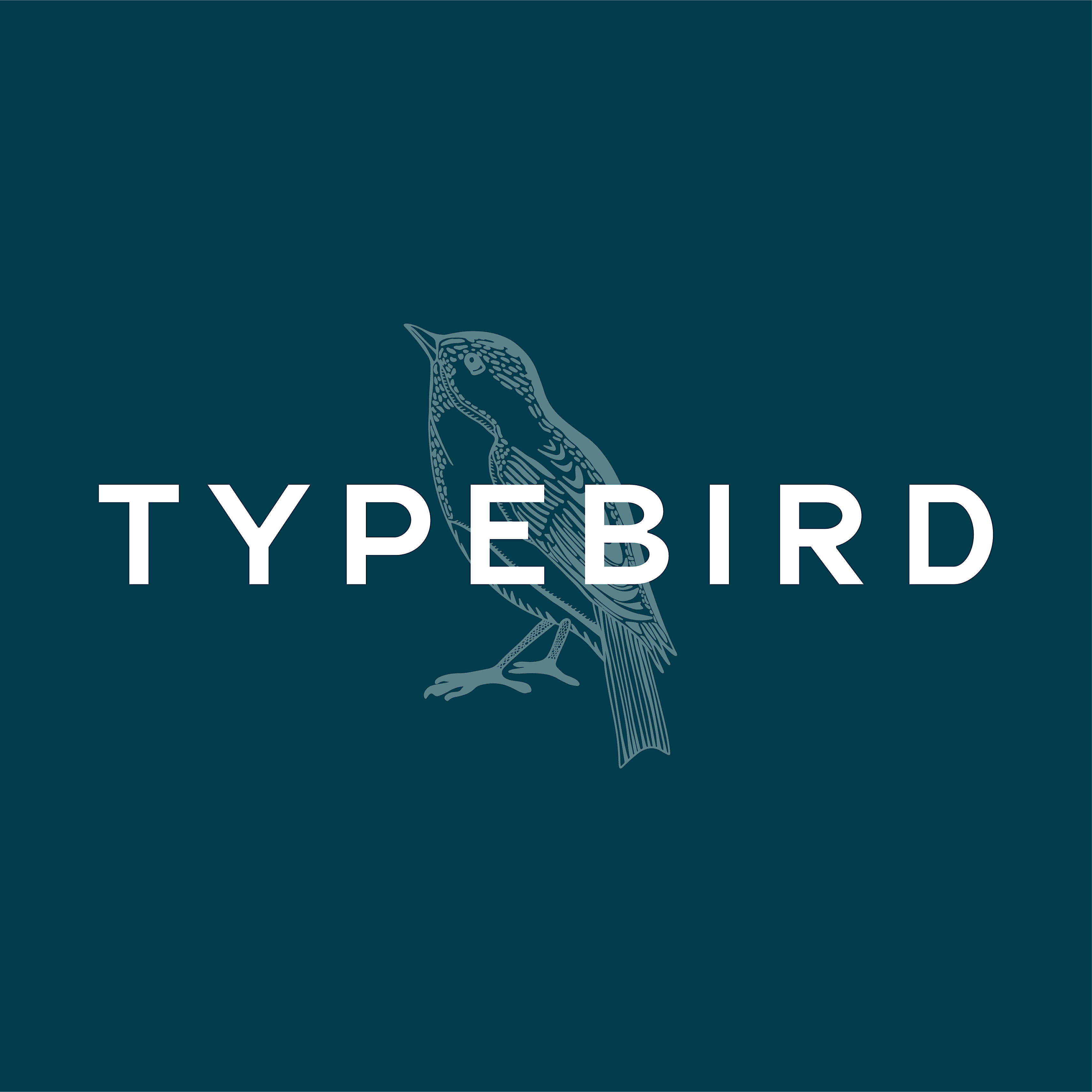 Typebird Creative