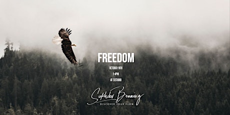 FREEDOM primary image