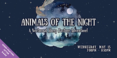Imagem principal de Animals of the Night! (Sheep Pasture: After Dark)