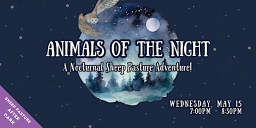 Imagem principal do evento Animals of the Night! (Sheep Pasture: After Dark)