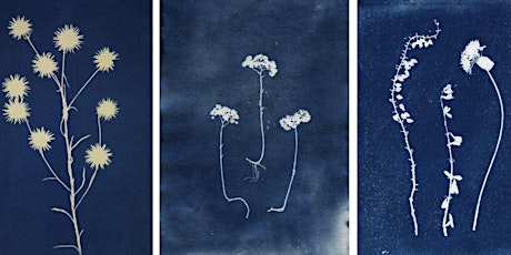 Plants + Sunlight Cyanotype Workshop (for all ages)