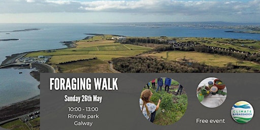 Foraging Walk in Galway primary image