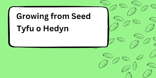 Imagem principal do evento Growing from Seed! Tyfu o Hedyn!