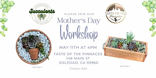 Hauptbild für Mothers Day Succulent Arrangement Workshop