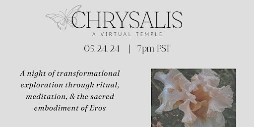 CHRYSALIS : a virtual temple primary image