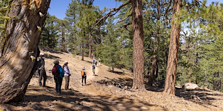 Imagem principal do evento Guided Nature Hike on Pine Mountain