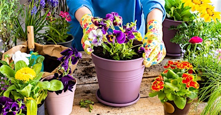 Color Your World This Spring - Potting Demonstration & Lunch at Model Home