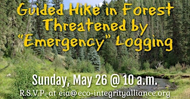 Guided Hike in Colorado Forest Threatened by “Emergency” Logging