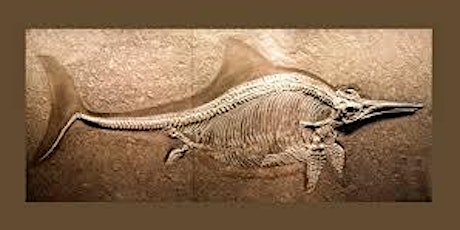 Hauptbild für Burpee Museum Art of the Earth - Ichthyosaurs: The Fish Lizards