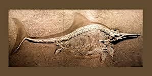 Primaire afbeelding van Burpee Museum Art of the Earth - Ichthyosaurs: The Fish Lizards