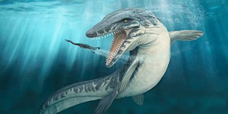 Burpee Museum Art of the Earth - Mosasaurs: These be Sea Serpents