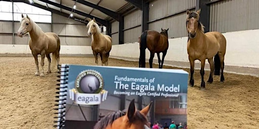 Free Demonstration of Equine Assisted Counselling/ Psychotherapy & Wellness primary image