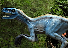 Primaire afbeelding van Burpee Museum Art of the Earth - Dromaeosaurs: Dinosaur Detectives  0706