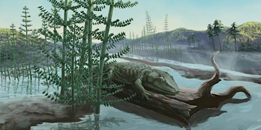 Image principale de Burpee Museum Art of the Earth - Astoundingly Amphibians  0720