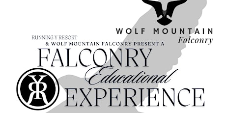 Falconry Educational Experience