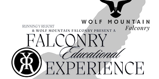 Imagem principal do evento Falconry Educational Experience