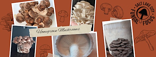 Collection image for Mushroom Cultivation Initiative