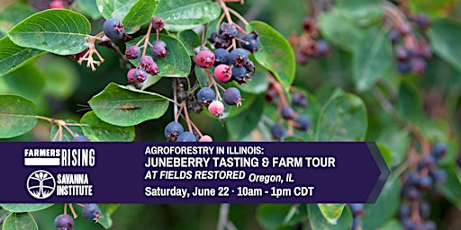 Primaire afbeelding van Juneberry Tasting and Farm Tour at Fields Restored