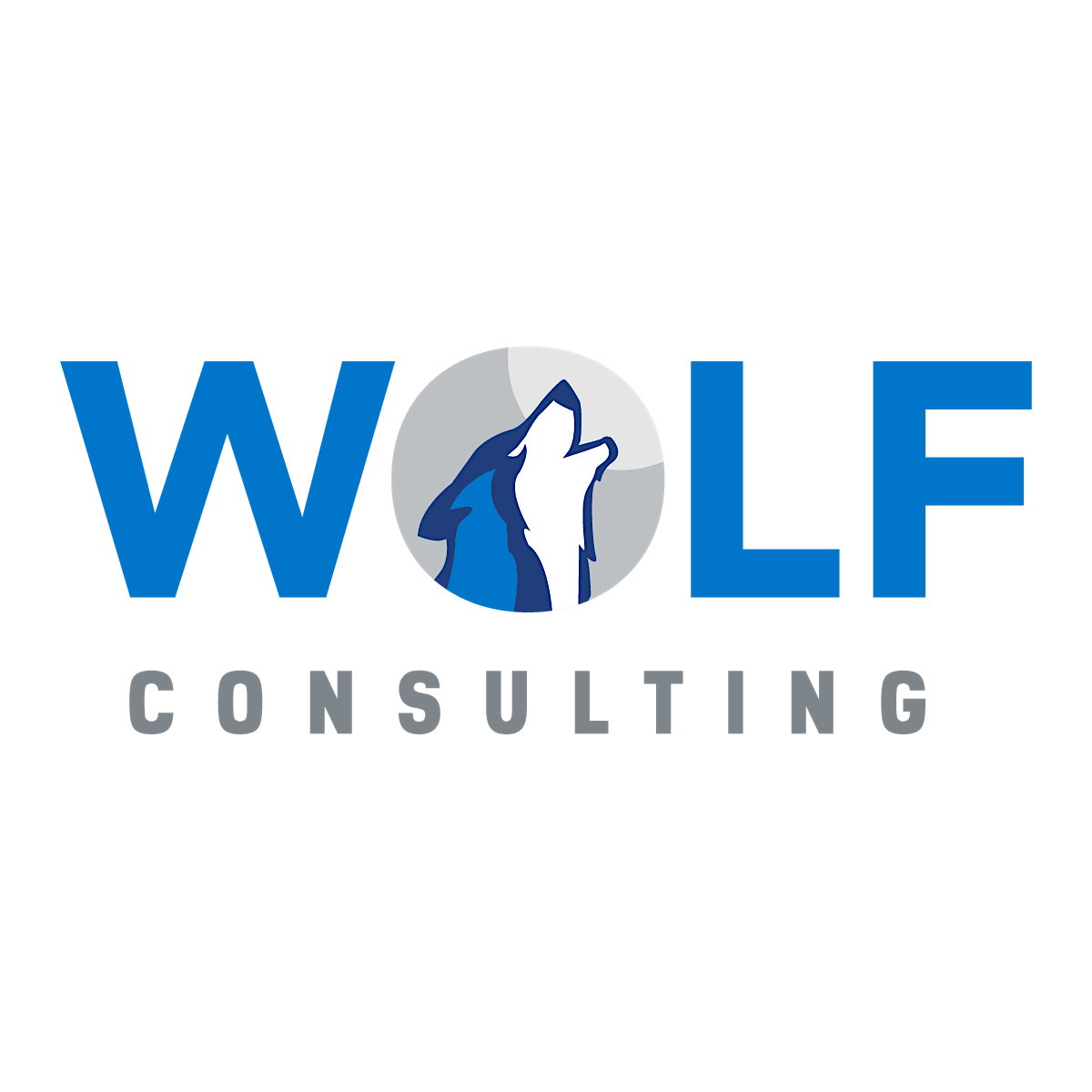 Wolf Consulting, LLC