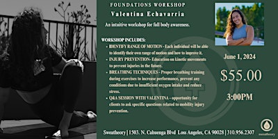 Imagem principal de Foundations Workshop - An intuitive workshop for full body awareness.