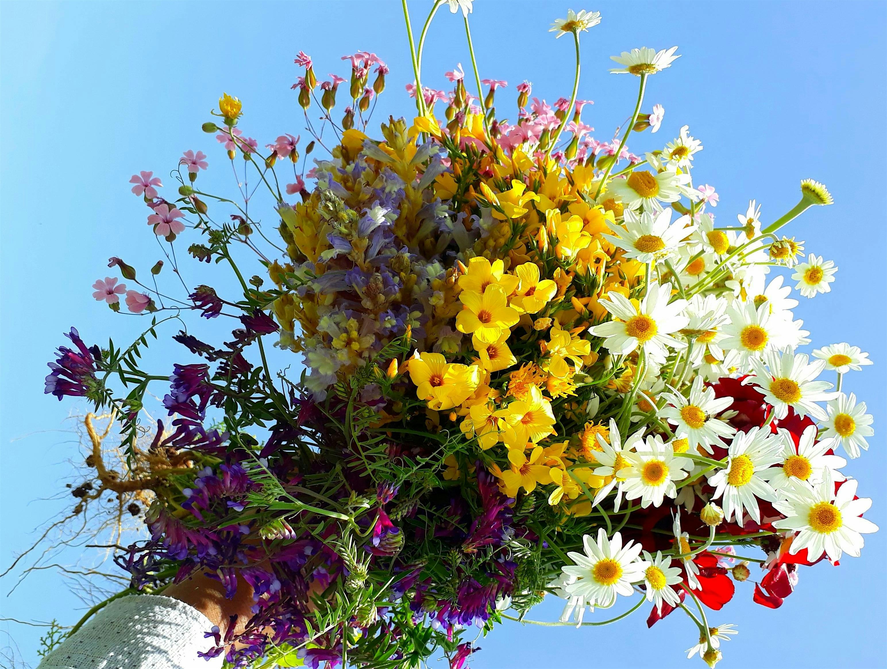 Flowers on the Farm: Botanical Bouquets